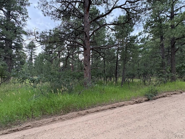TBD Birch Dr, Rye, CO 81069 - photo 4