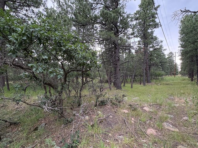 TBD Birch Dr, Rye, CO 81069 - photo 5