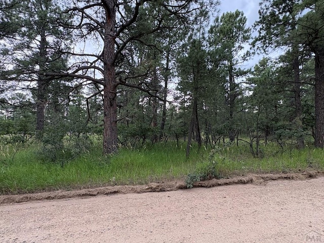 TBD Birch Dr, Rye, CO 81069 - photo 3