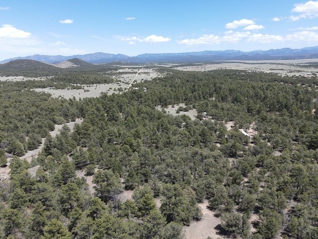 1713 7th Trl, Texas Creek, CO 81223