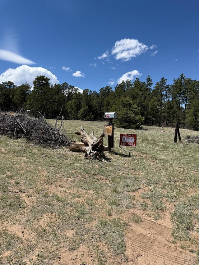 1713 7th Trl, Texas Creek, CO 81223