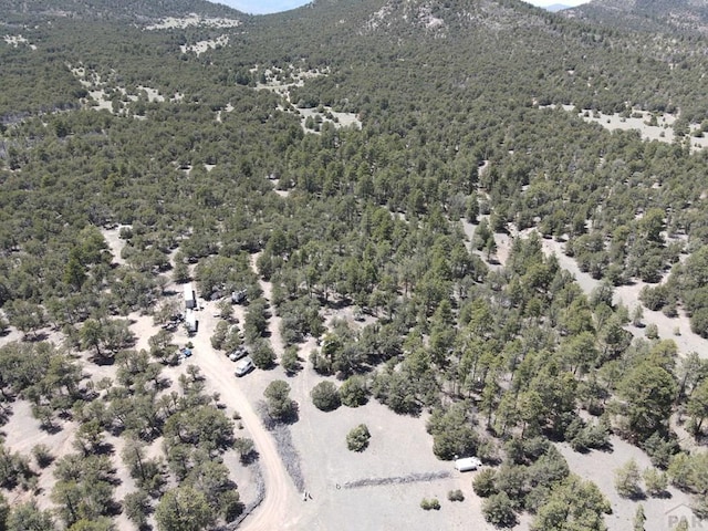 1713 7th Trl, Texas Creek, CO 81223