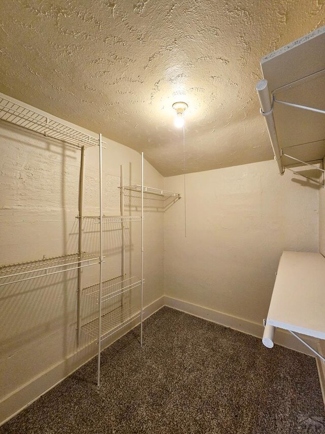 walk in closet with carpet and vaulted ceiling