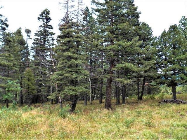 TBD W Spanish Peaks Dr, Aguilar CO, 81020 land for sale