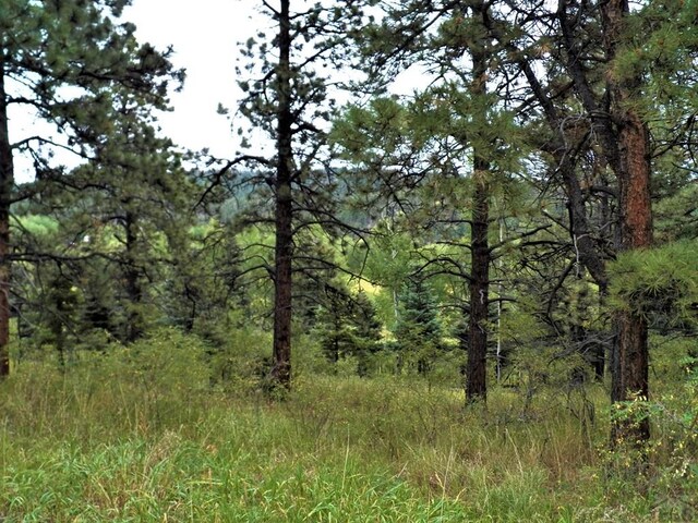 Listing photo 3 for TBD W Spanish Peaks Dr, Aguilar CO 81020