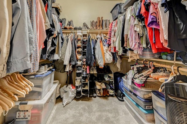 spacious closet featuring carpet floors