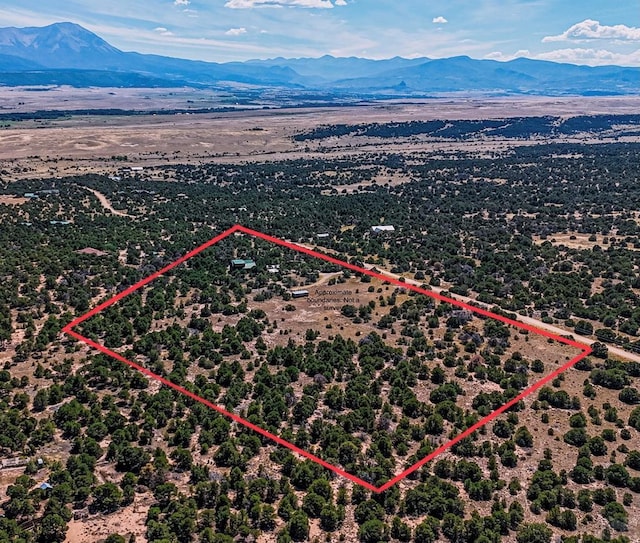 drone / aerial view featuring a mountain view