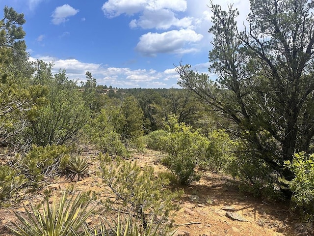 TBD El Toro Way, Bon Carbo, CO 81082 - photo 3