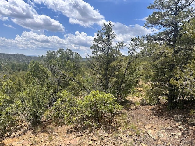 TBD El Toro Way, Bon Carbo, CO 81082 - photo 4
