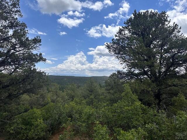 TBD El Toro Way, Bon Carbo, CO 81082 - photo 1