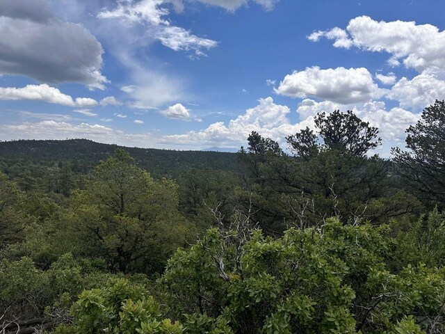 TBD El Toro Way, Bon Carbo, CO 81082 - photo 6