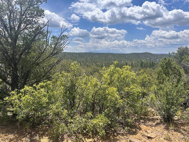 TBD El Toro Way, Bon Carbo, CO 81082 - photo 2