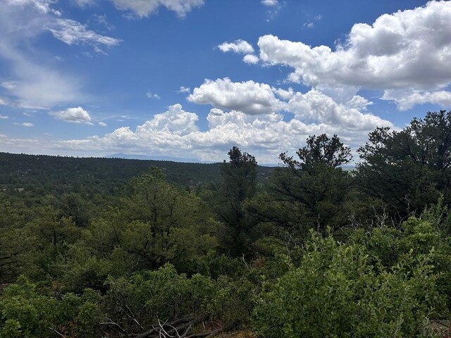 TBD El Toro Way, Bon Carbo, CO 81082 - photo 5