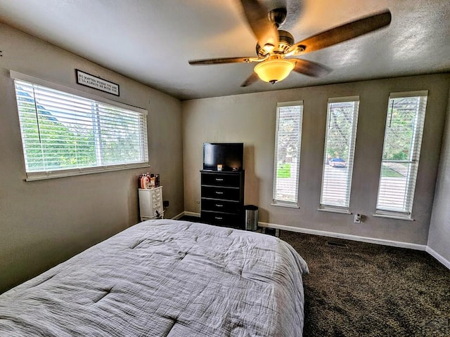 3 Hadley Rill, Pueblo, CO 81001 - photo 34