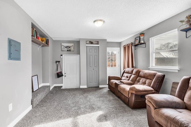 living area with a textured ceiling, carpet, electric panel, and baseboards