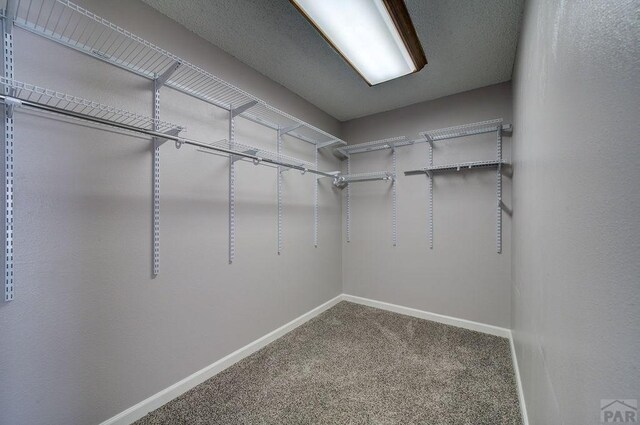 1295 S Skyline Ln, Pueblo West, CO 81007 - photo 40