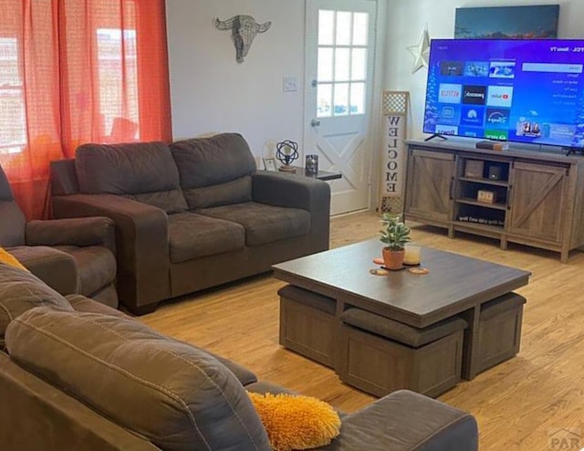 living room featuring light wood-style floors