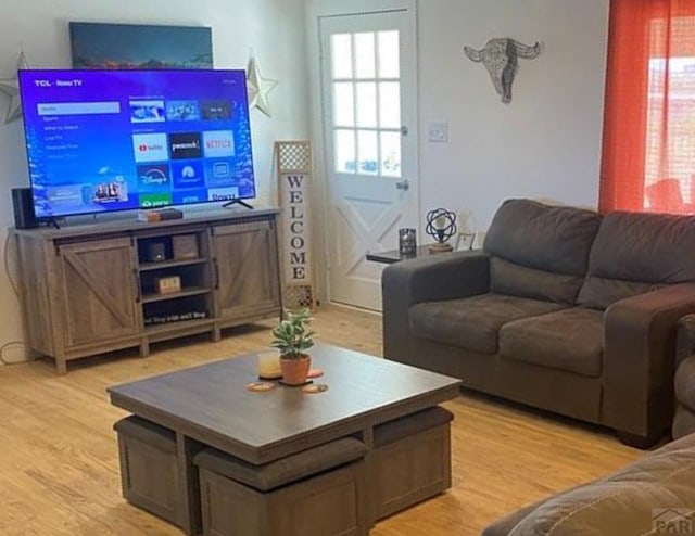 living room featuring light wood-type flooring