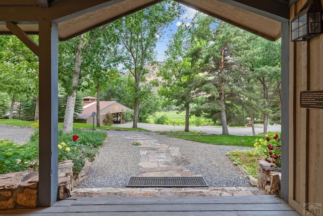 24074 Fruitland Mesa Rd, Crawford, CO 81415 - view of patio / terrace featuring view of wooded area