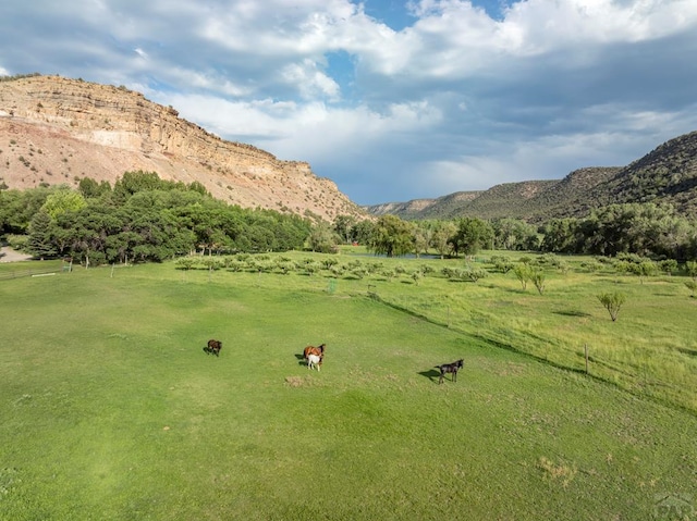 24074 Fruitland Mesa Rd, Crawford, CO 81415 - surrounding community with a view of countryside, a mountain view, and a lawn