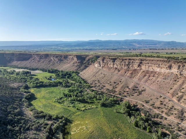 24074 Fruitland Mesa Rd, Crawford, CO 81415 - aerial view of property's location with a mountain backdrop