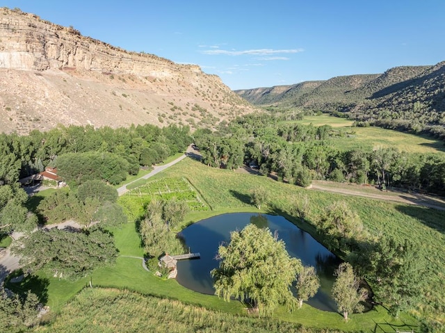24074 Fruitland Mesa Rd, Crawford, CO 81415 - view of property location featuring a water and mountain view
