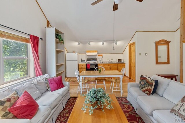 living room featuring a ceiling fan and wood finished floors