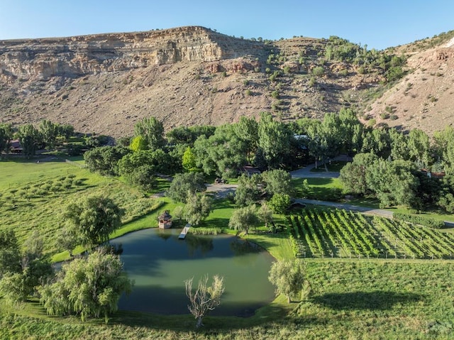24074 Fruitland Mesa Rd, Crawford, CO 81415 - view of mountain background with a nearby body of water