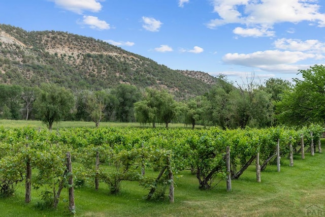 24074 Fruitland Mesa Rd, Crawford, CO 81415 - mountain view featuring rural landscape