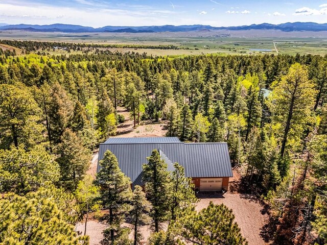 1404 Camino Conquistador, Westcliffe, CO 81252