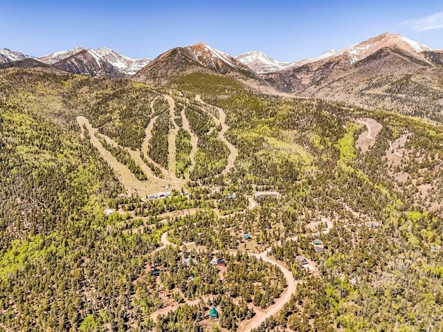 1404 Camino Conquistador, Westcliffe, CO 81252