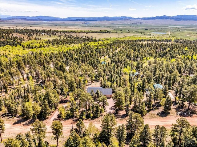 1404 Camino Conquistador, Westcliffe, CO 81252
