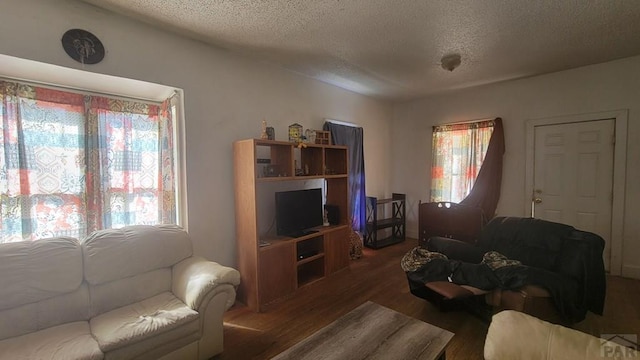 living room featuring a textured ceiling and wood finished floors