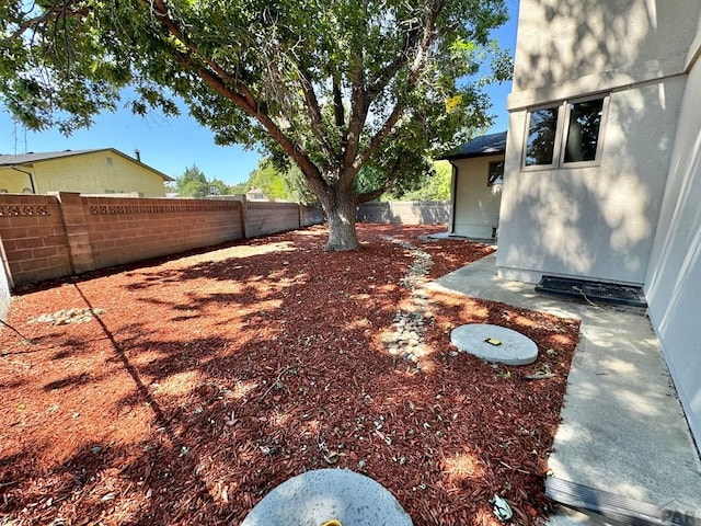 view of yard with a fenced backyard