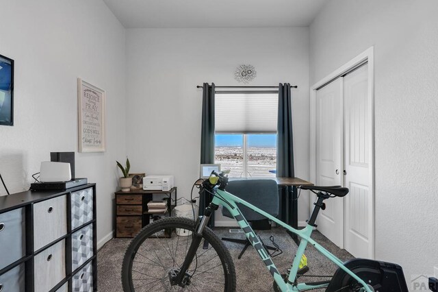 exercise area featuring baseboards and carpet flooring