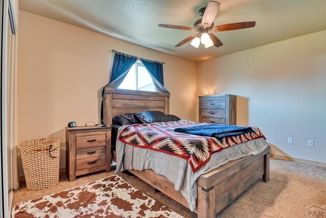 2306 Cliffmoor Ln, Pueblo, CO 81008 - photo 23