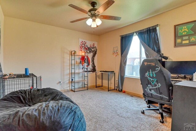 2306 Cliffmoor Ln, Pueblo, CO 81008 - photo 35