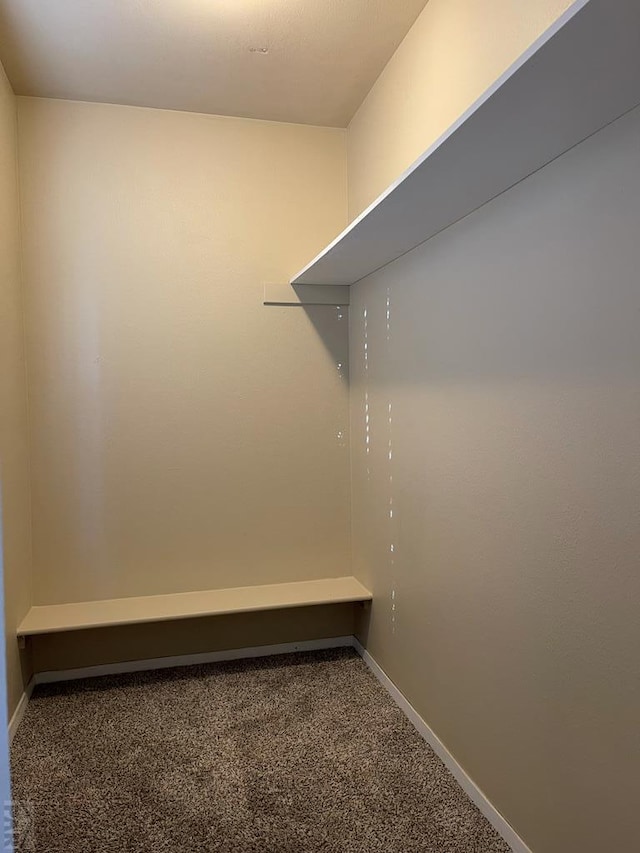 walk in closet featuring carpet floors