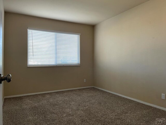 carpeted empty room featuring a wealth of natural light and baseboards