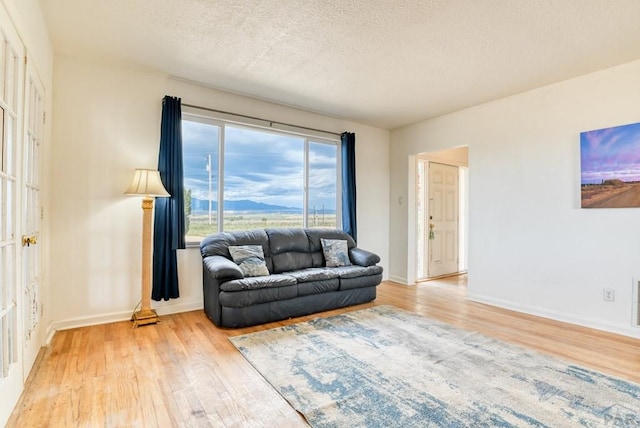 living room with a textured ceiling, baseboards, and wood finished floors