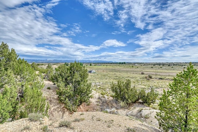 view of local wilderness