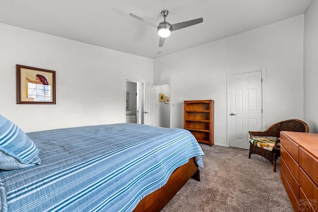 4147 Outlook Blvd Unit A, Pueblo, CO 81008 - photo 19