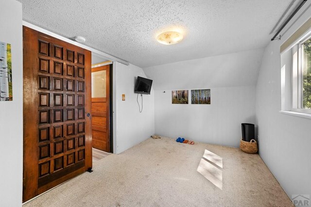 interior space with a textured ceiling and vaulted ceiling