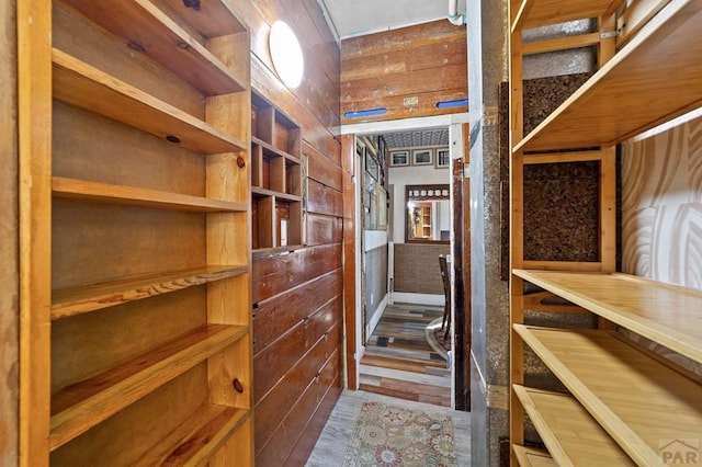 walk in closet featuring wood finished floors