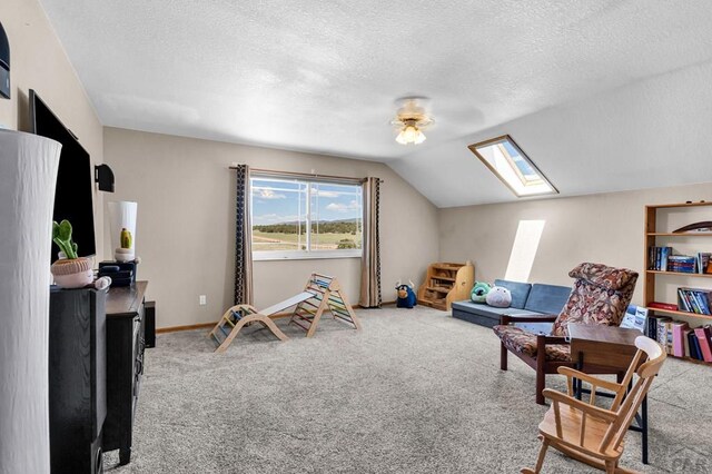 770 Cedar Hls, Penrose, CO 81240 - photo 24