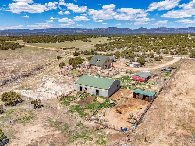 770 Cedar Hls, Penrose, CO 81240 - photo 42