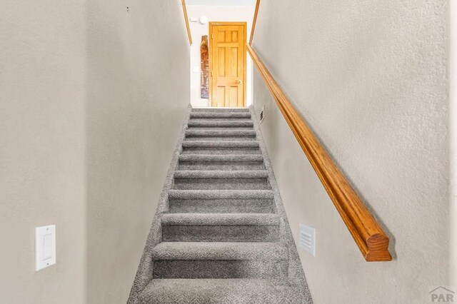 770 Cedar Hls, Penrose, CO 81240 - photo 23