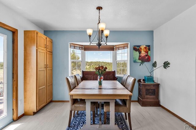 770 Cedar Hls, Penrose, CO 81240 - photo 7