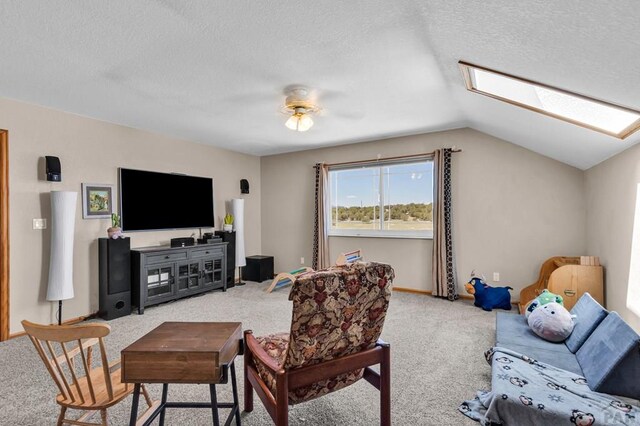 770 Cedar Hls, Penrose, CO 81240 - photo 25