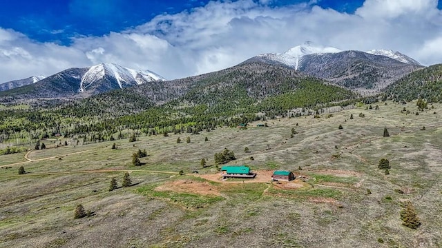 property view of mountains